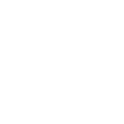 KINGMODE mascot